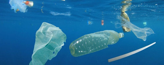 Quel est l'océan le plus pollué