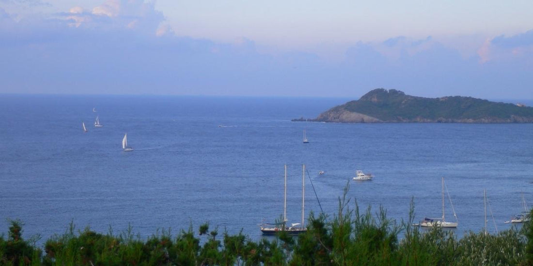 Quelle plage choisir à Porquerolles ?